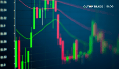 The best Forex trading tools